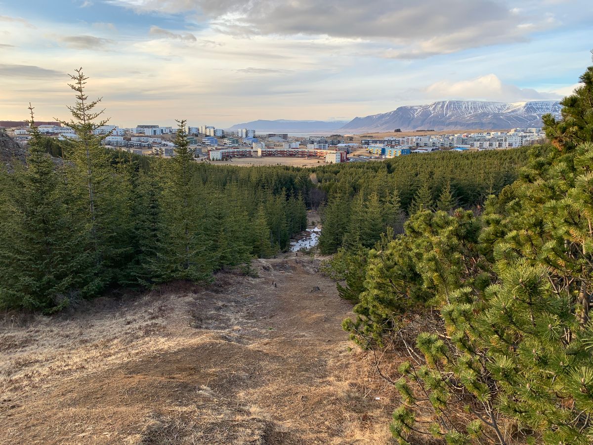 Downhill suicide ☠️ hole 11
