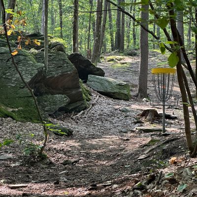 Hole 12, looking back towards the tee pad