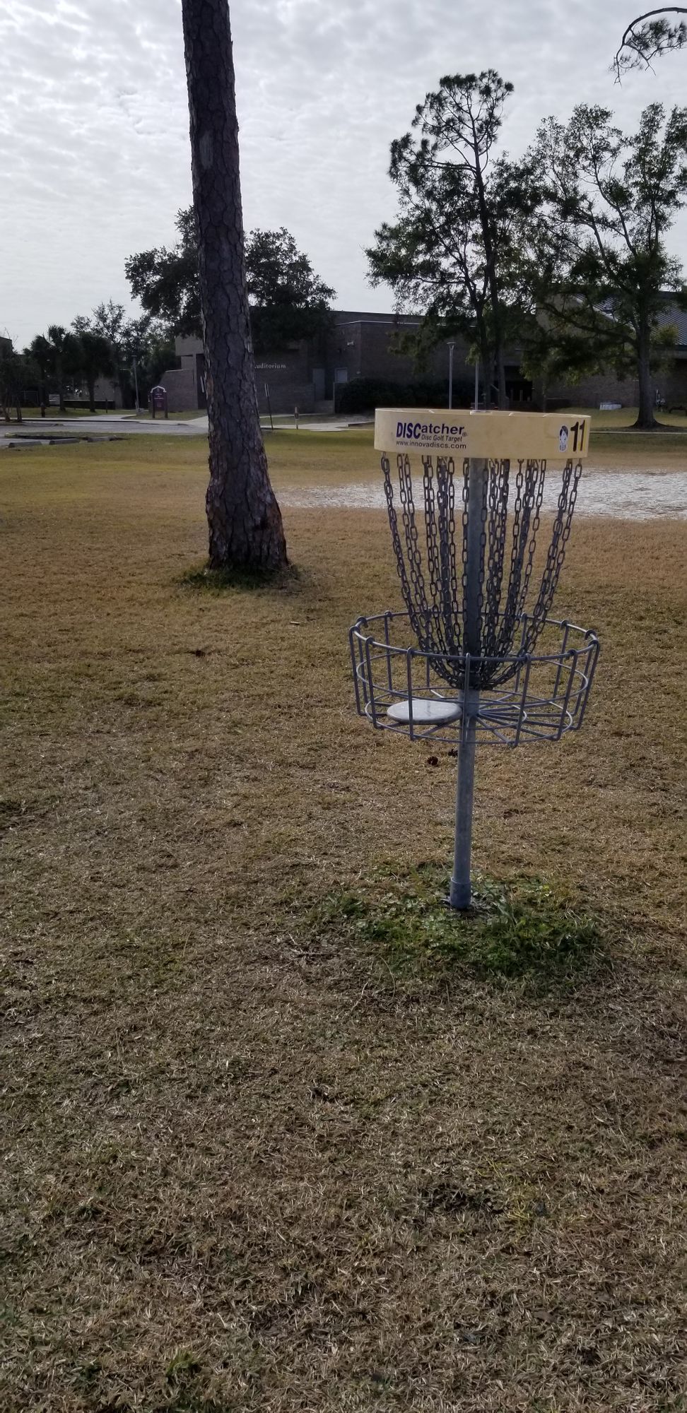 Hole 11 Pin