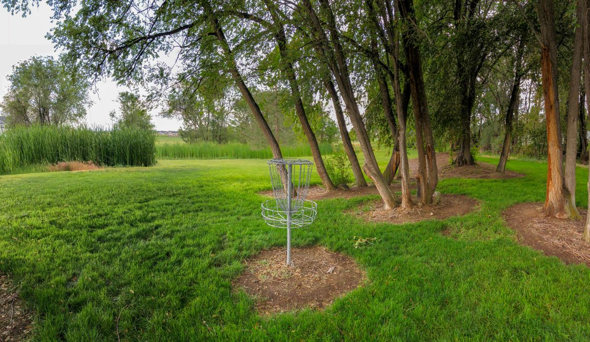 Hole 6