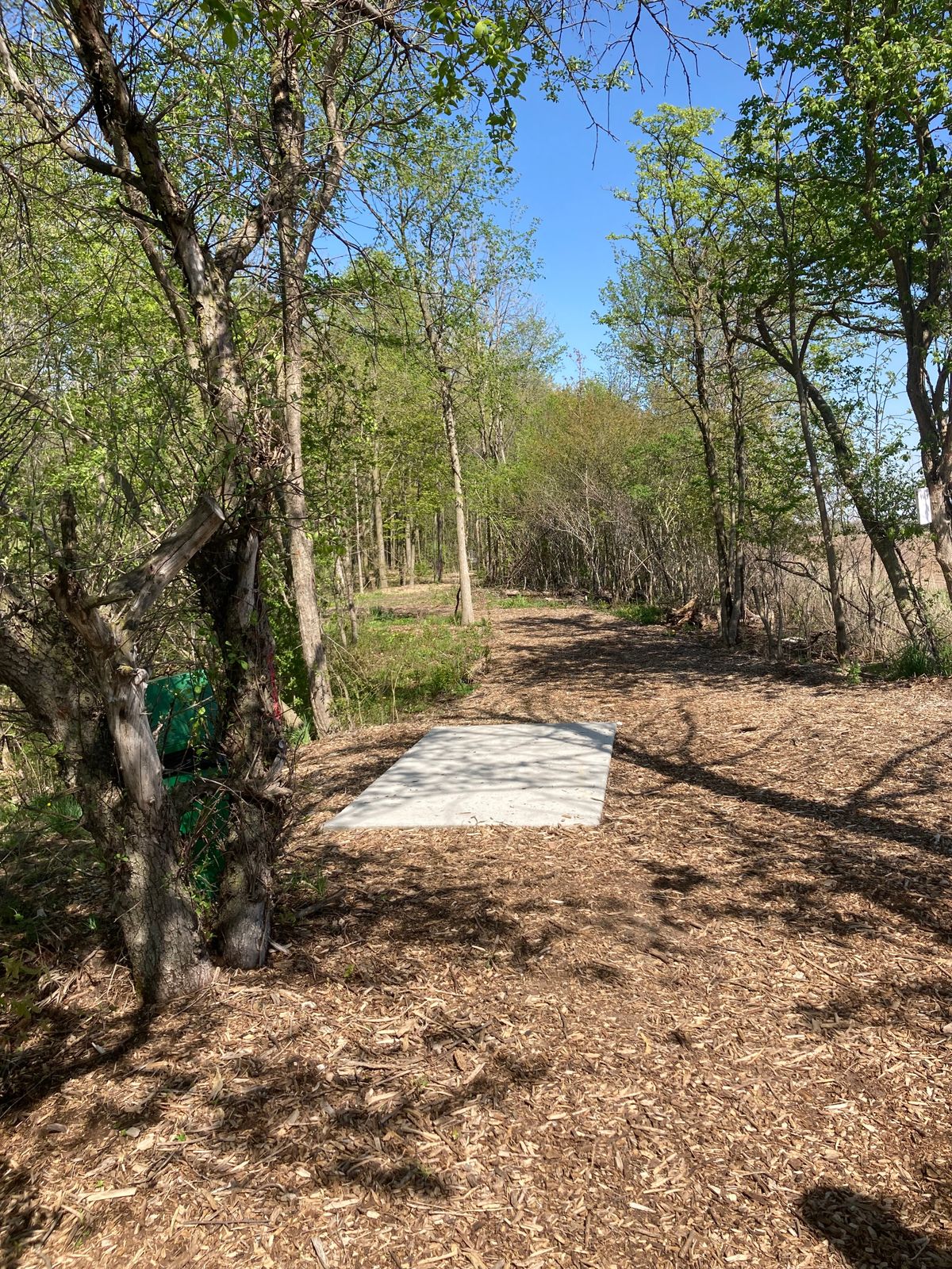 First hole going into the woods.