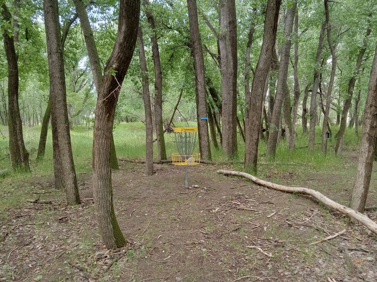 Hole 1 green