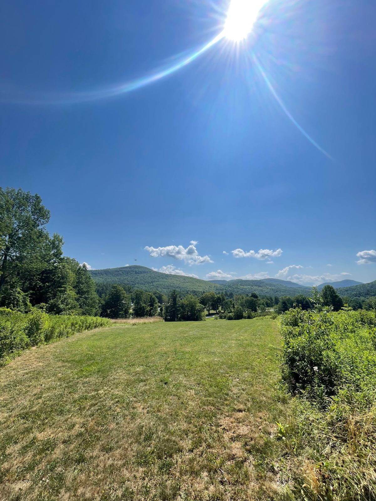 Hole 8 View