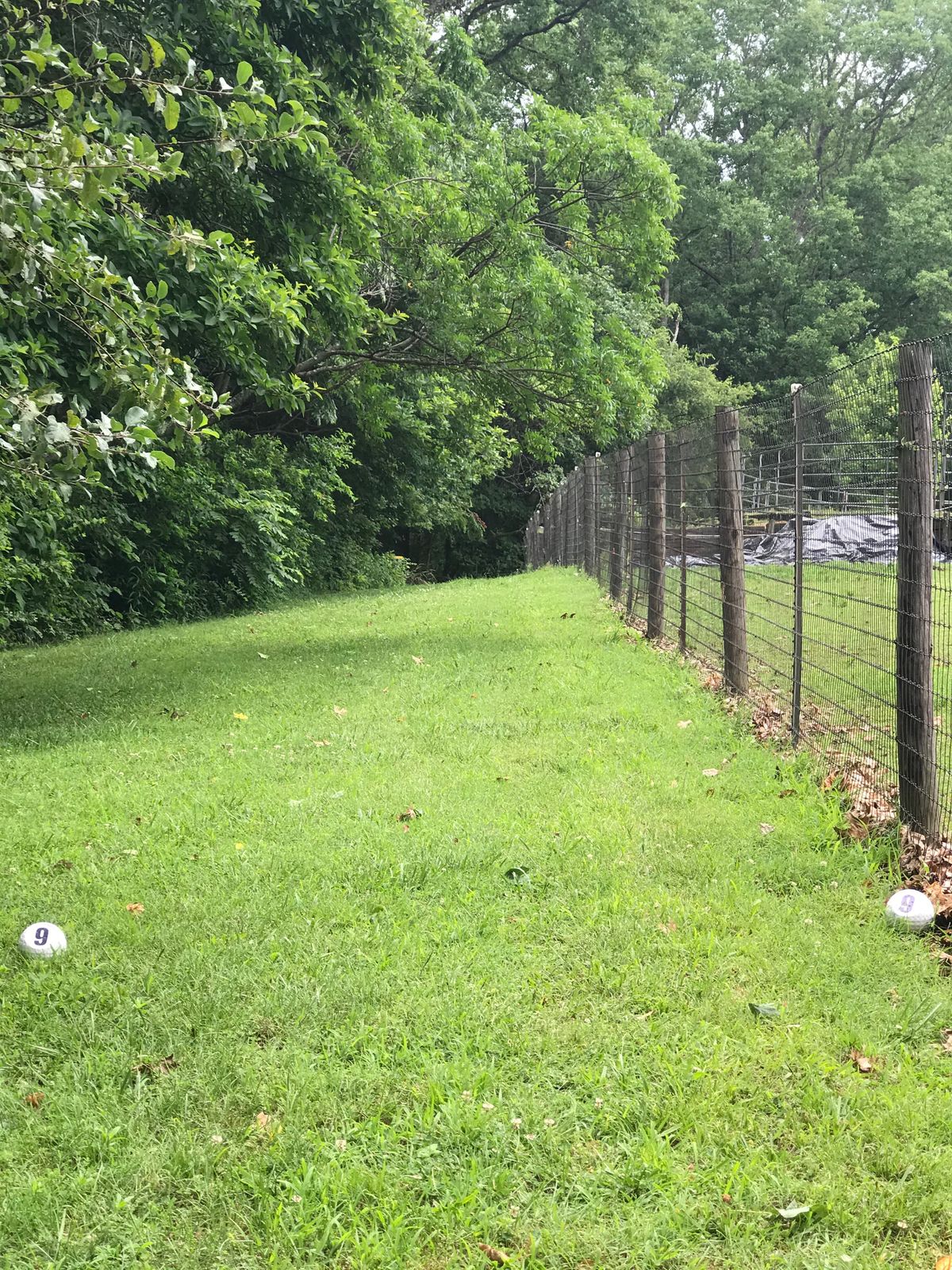 Hole 9, shortest at 157 ft. but tight.