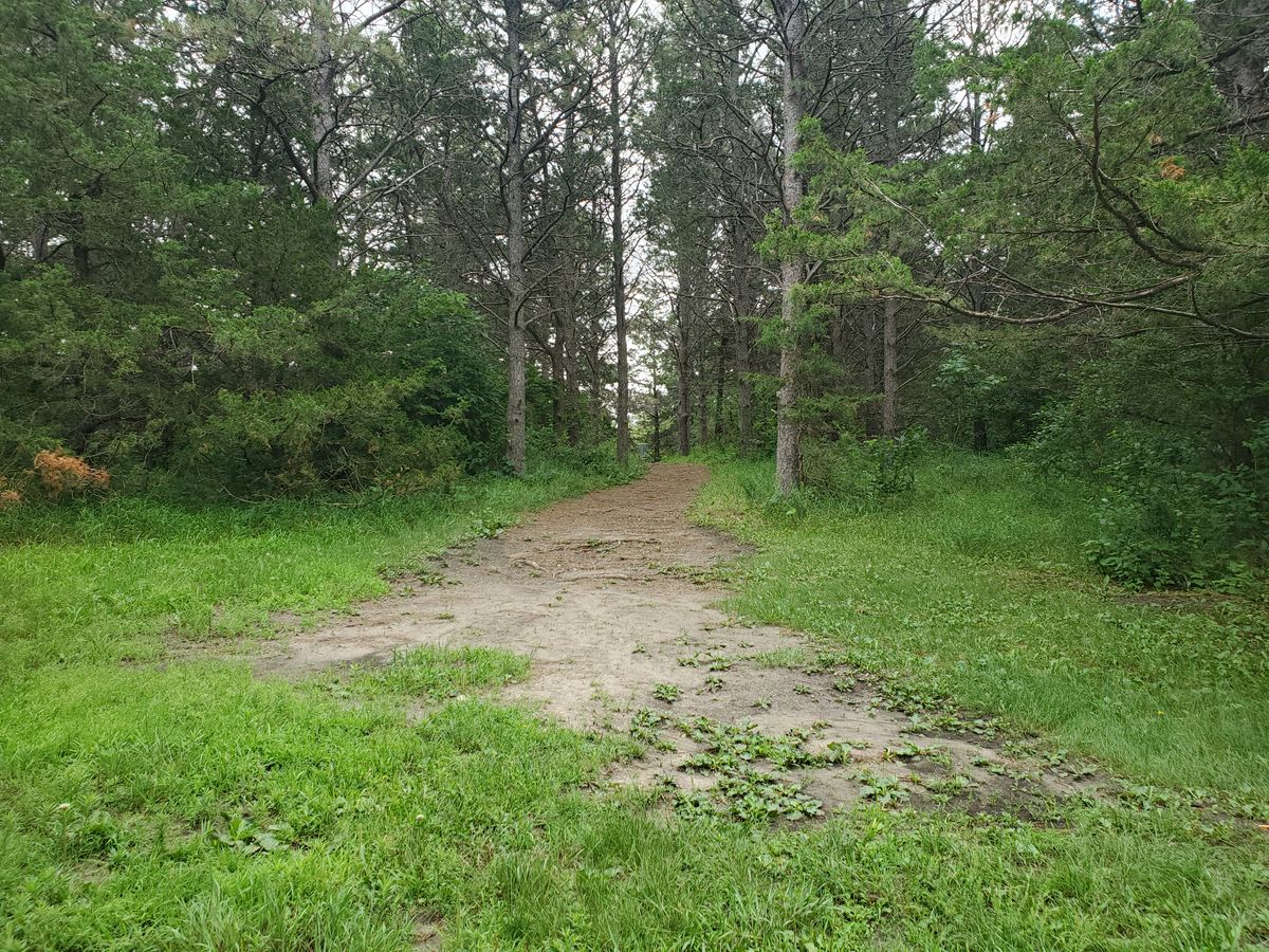 Hole 15. View from the elbow to the basket.