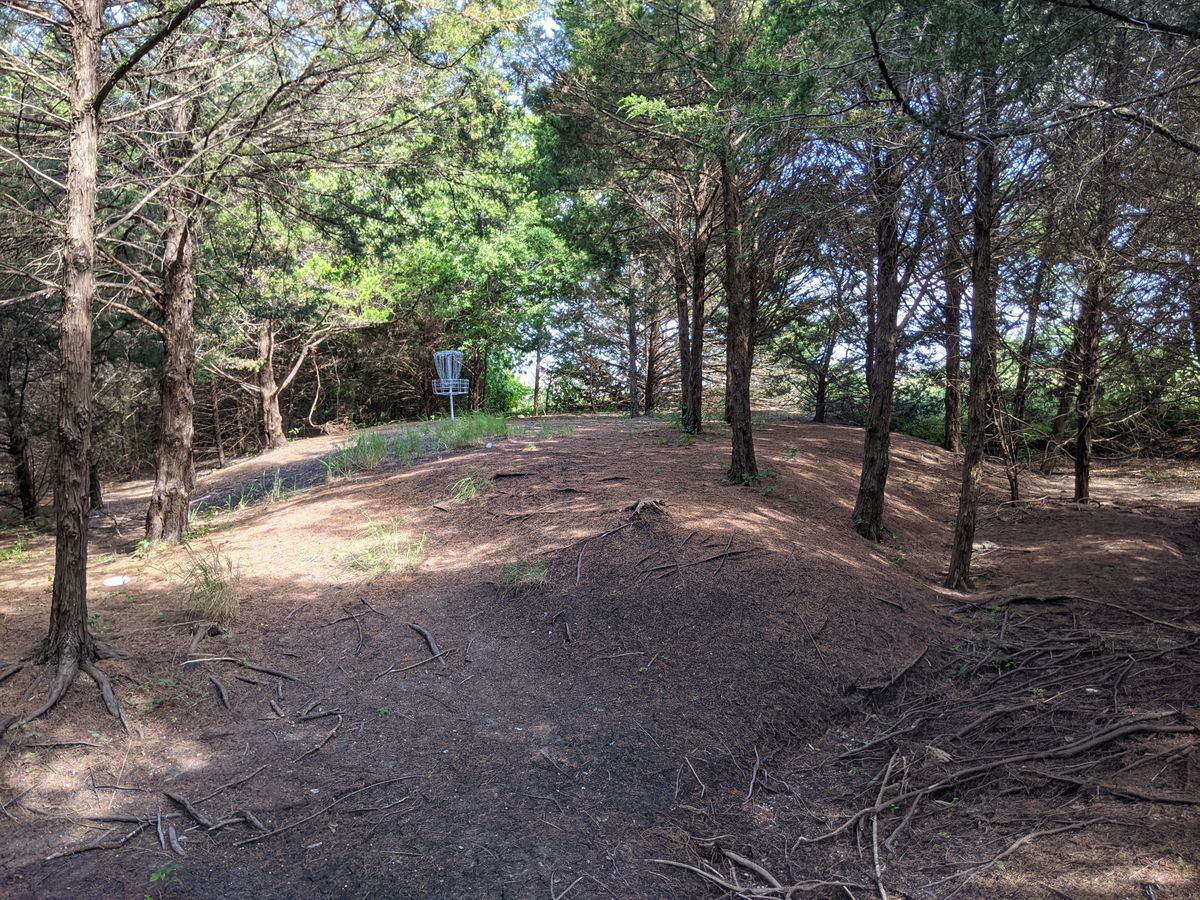 A few holes are well shaded with plenty of trees that you need to work around.  A bit of elevation change as well.