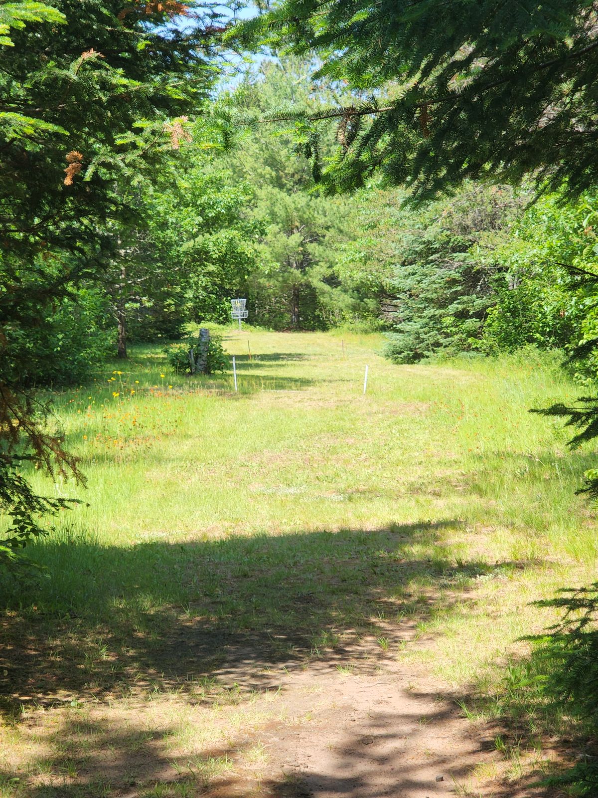 Hole 12 Close-Up