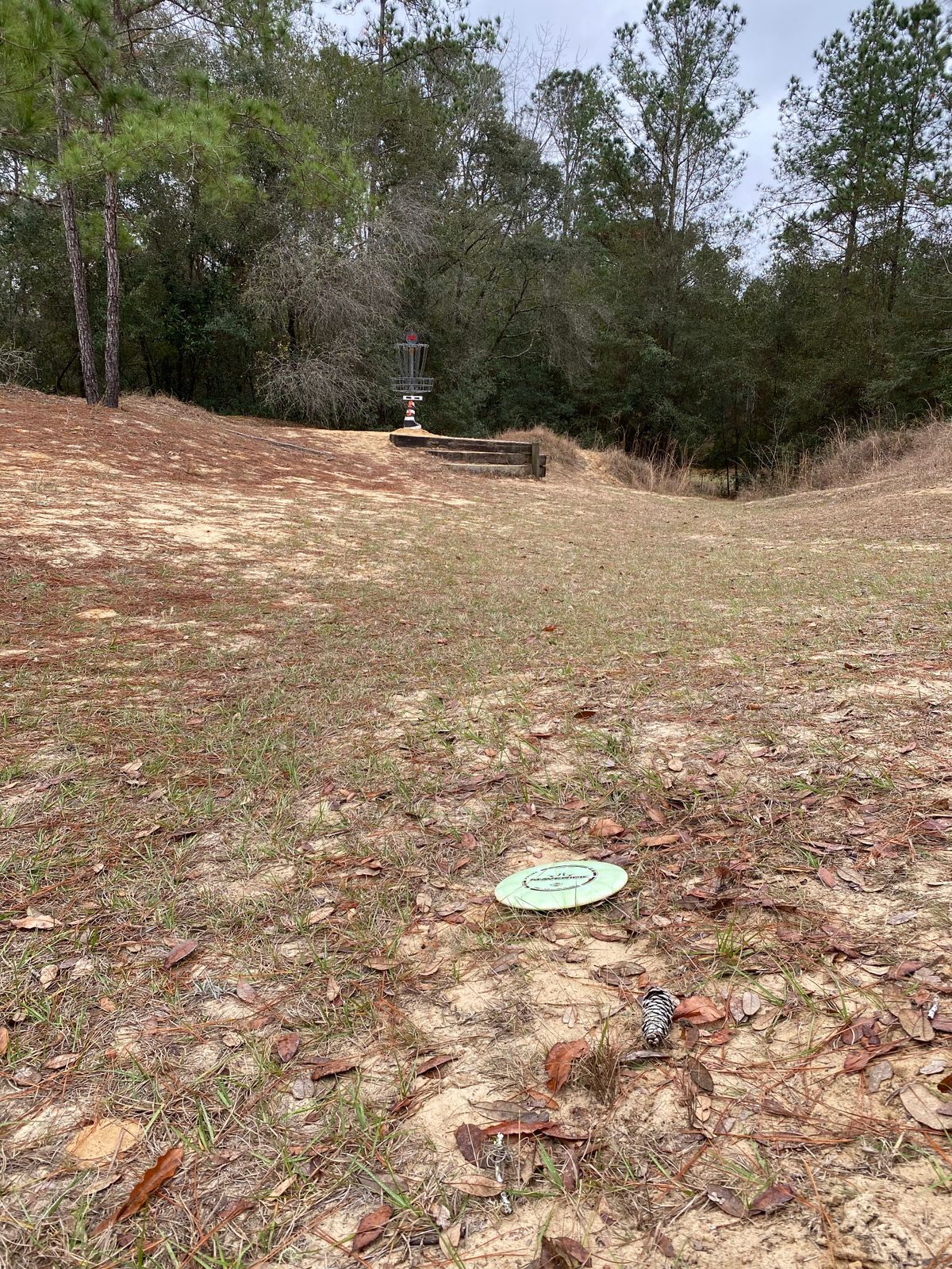 #12 green