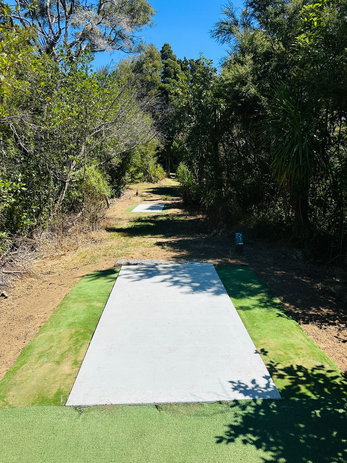 Disc Shop NZ custom tee pad upgrade 2025