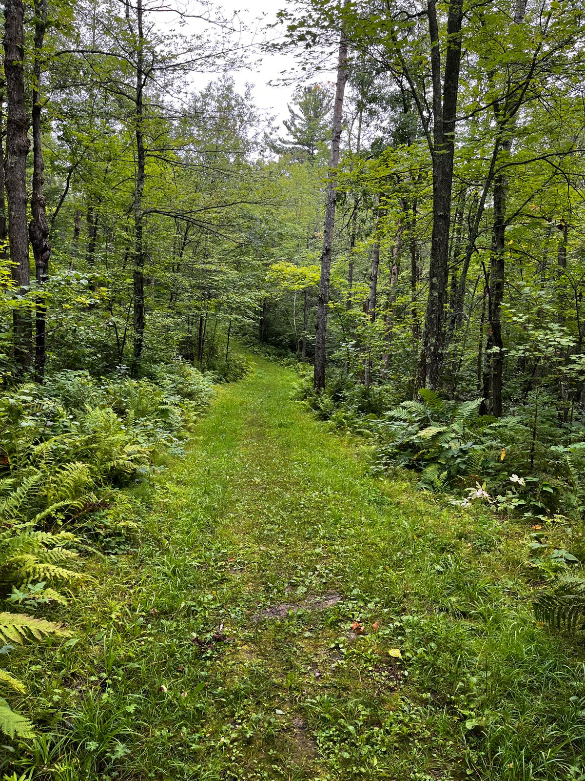 Hole 16 trail