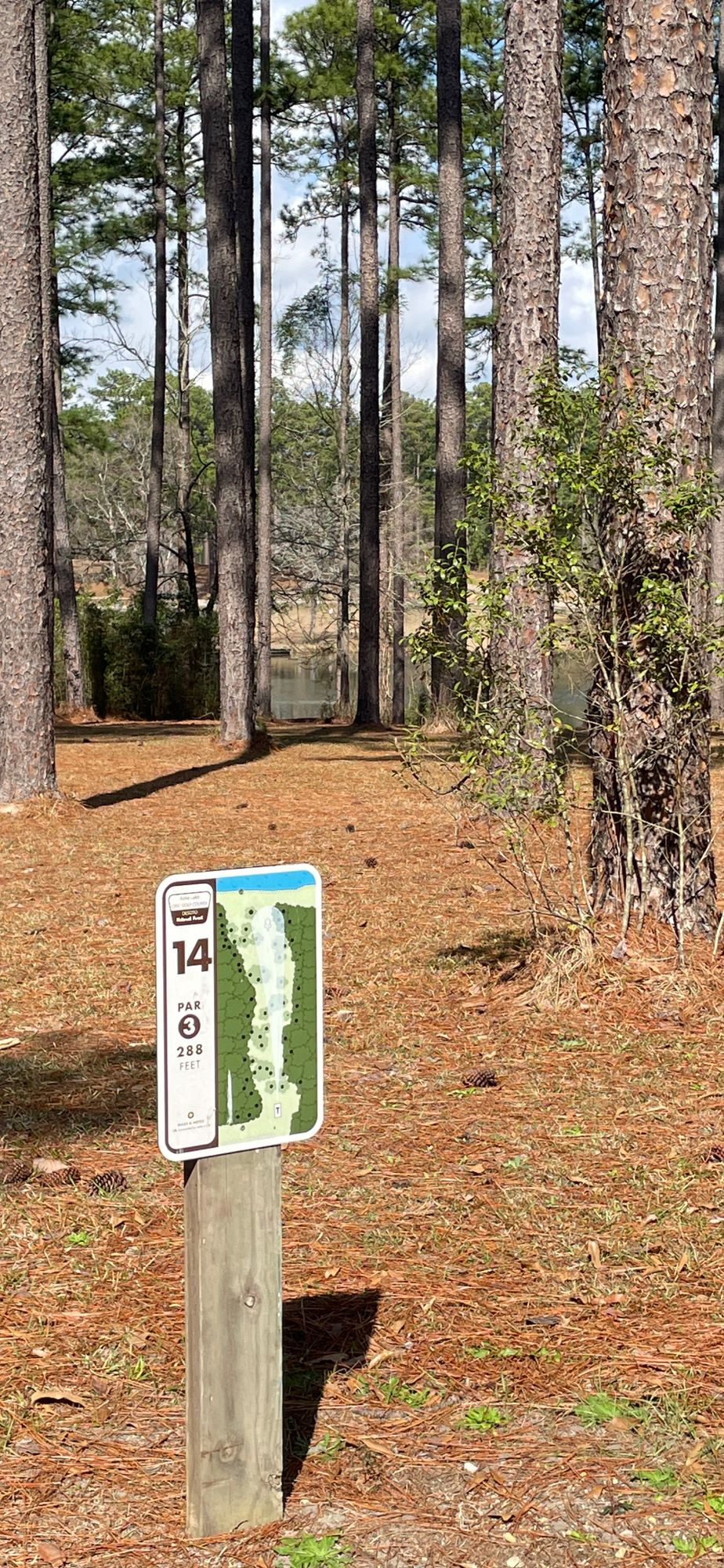Hole 14 with Ashe Lake in distance