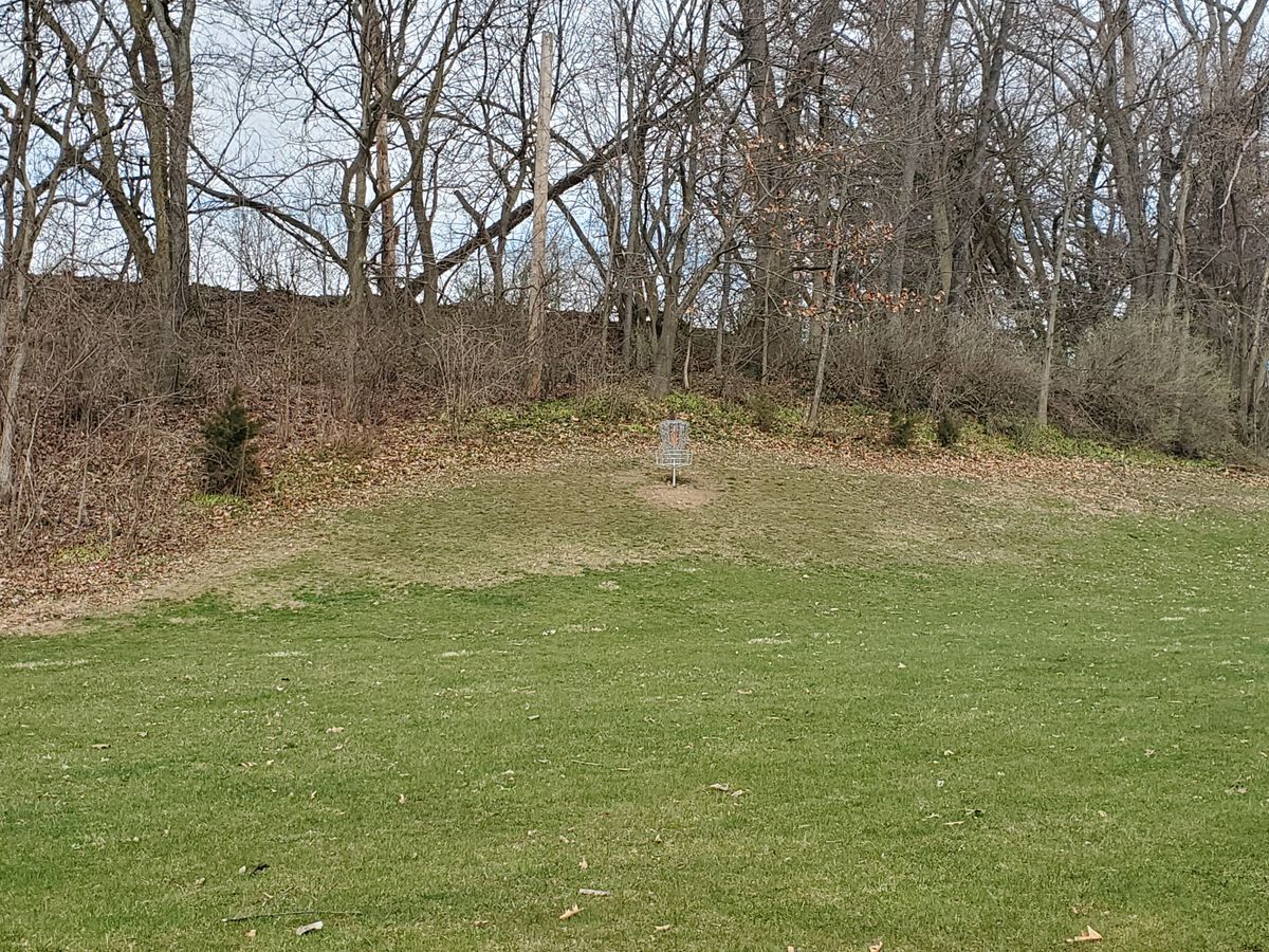 Hole 6 basket on hill