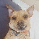 User avatar image