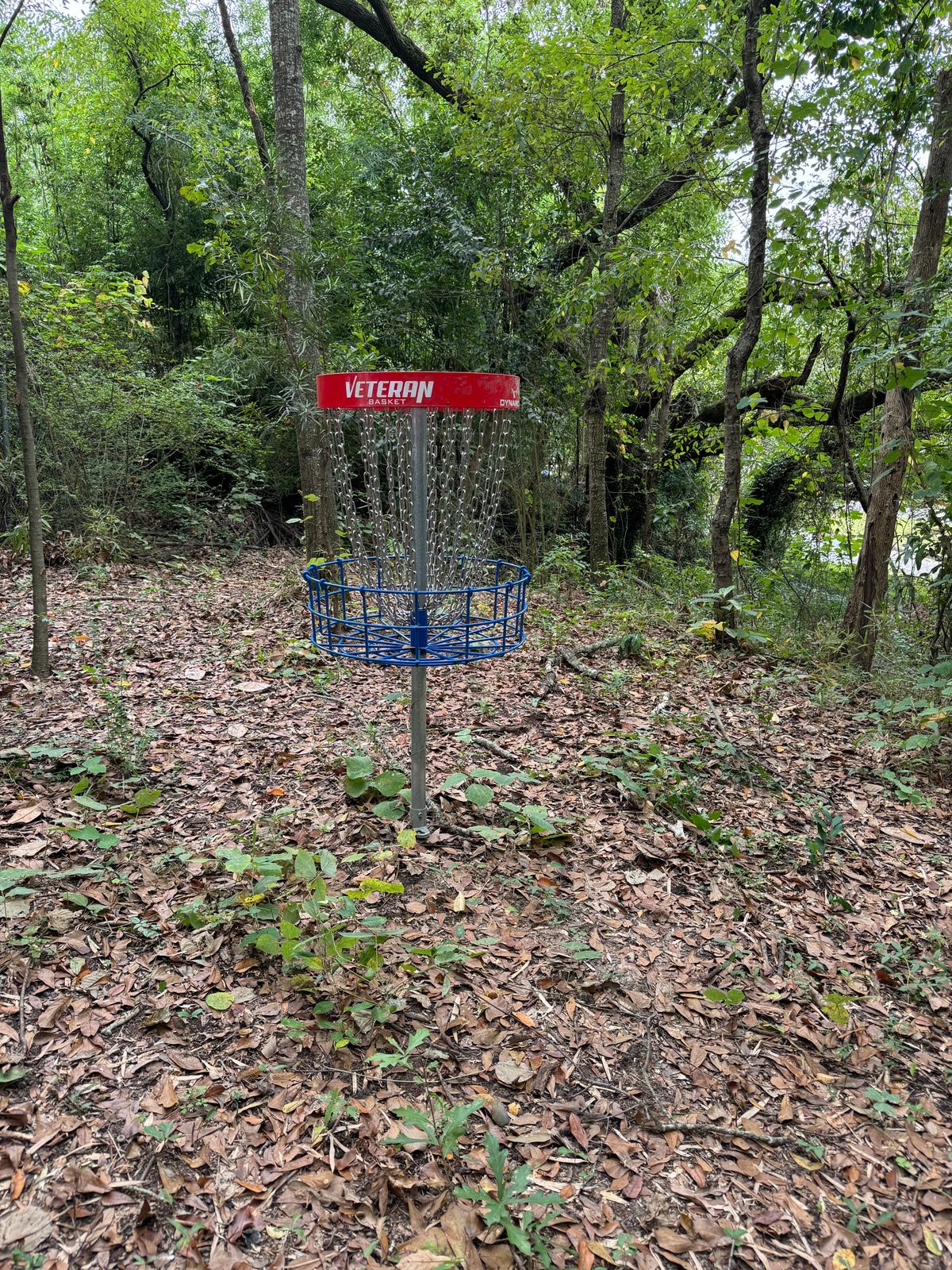 Hole 17 basket