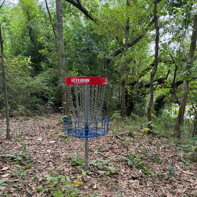 Hole 17 basket