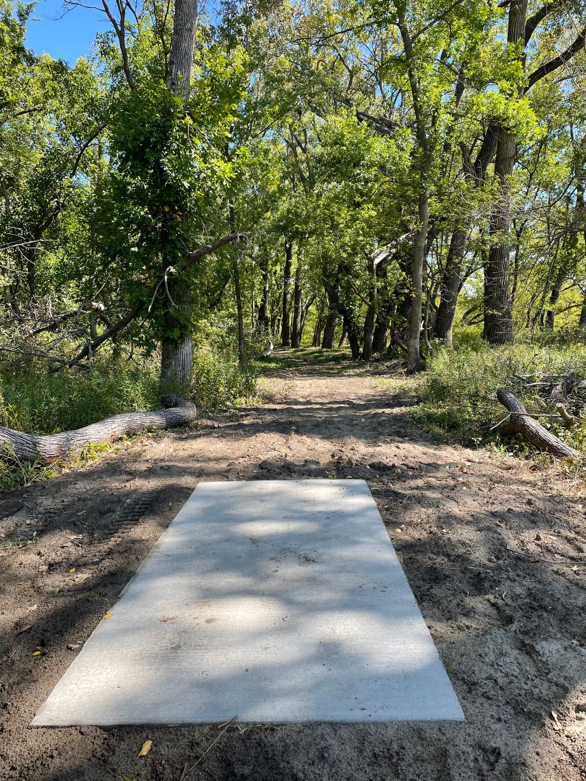 Hole 4 tee pad