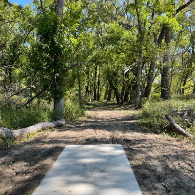 Hole 4 tee pad