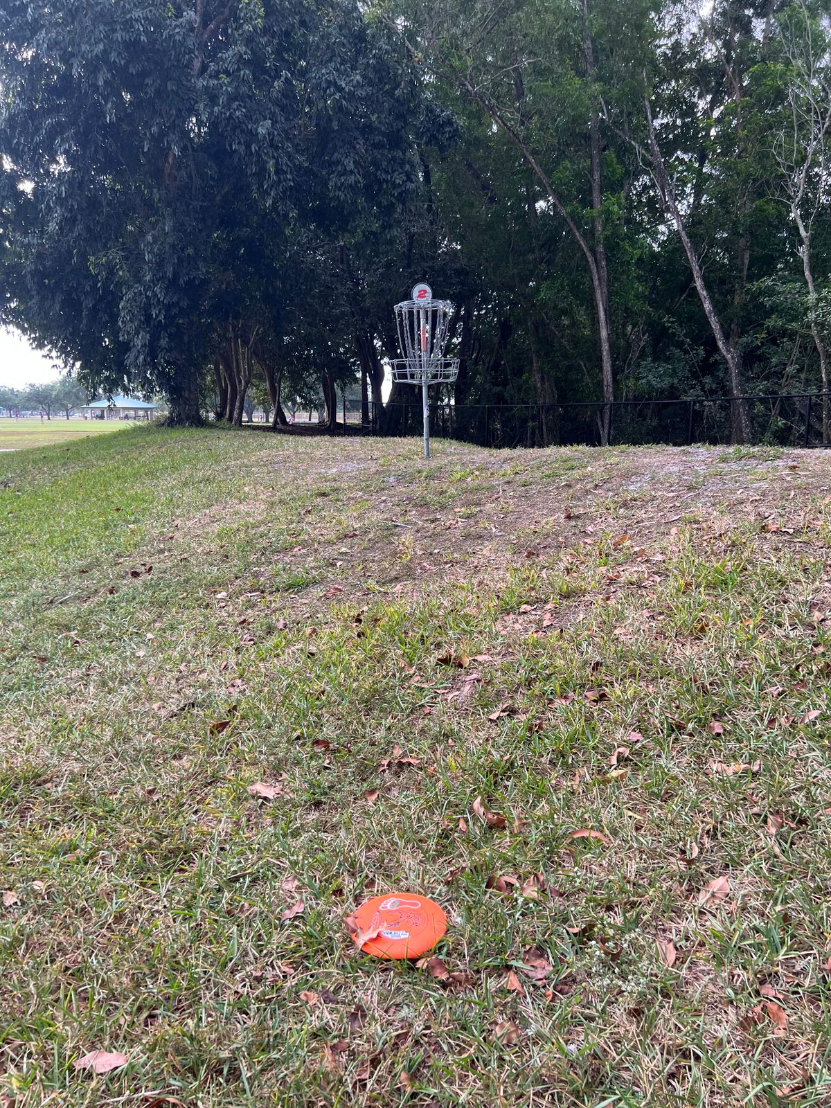 Hole 2 basket nice little hill elevation