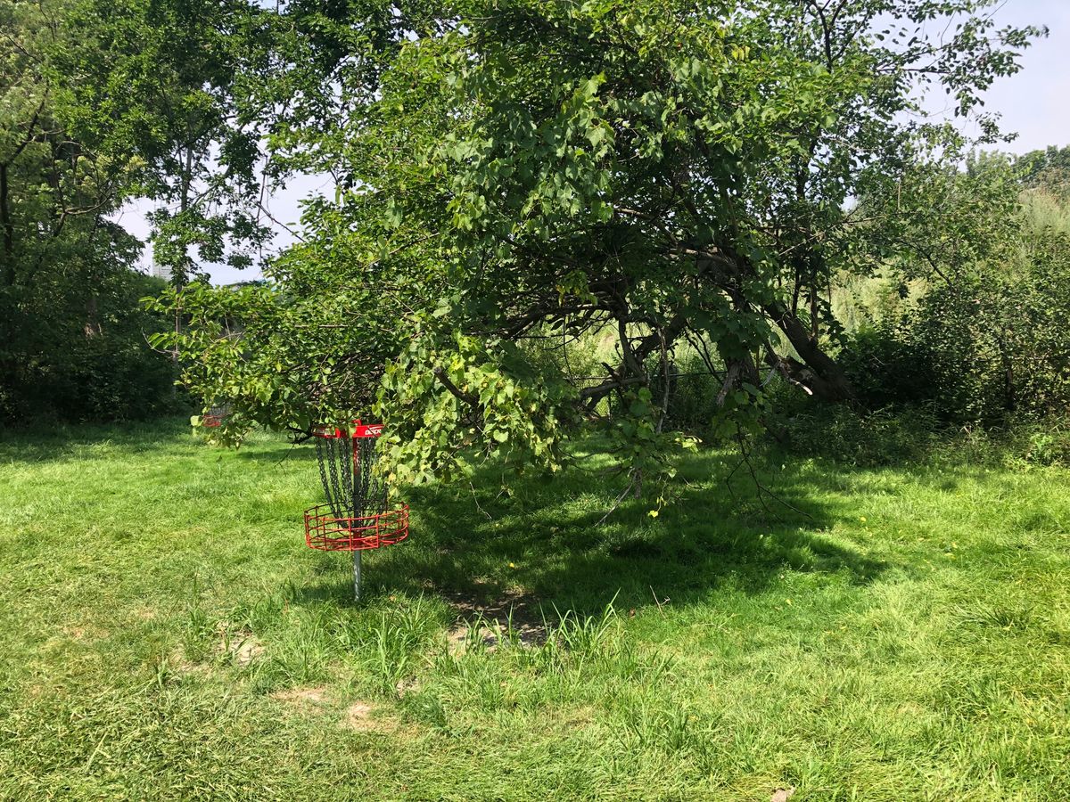 Hole 2 basket
