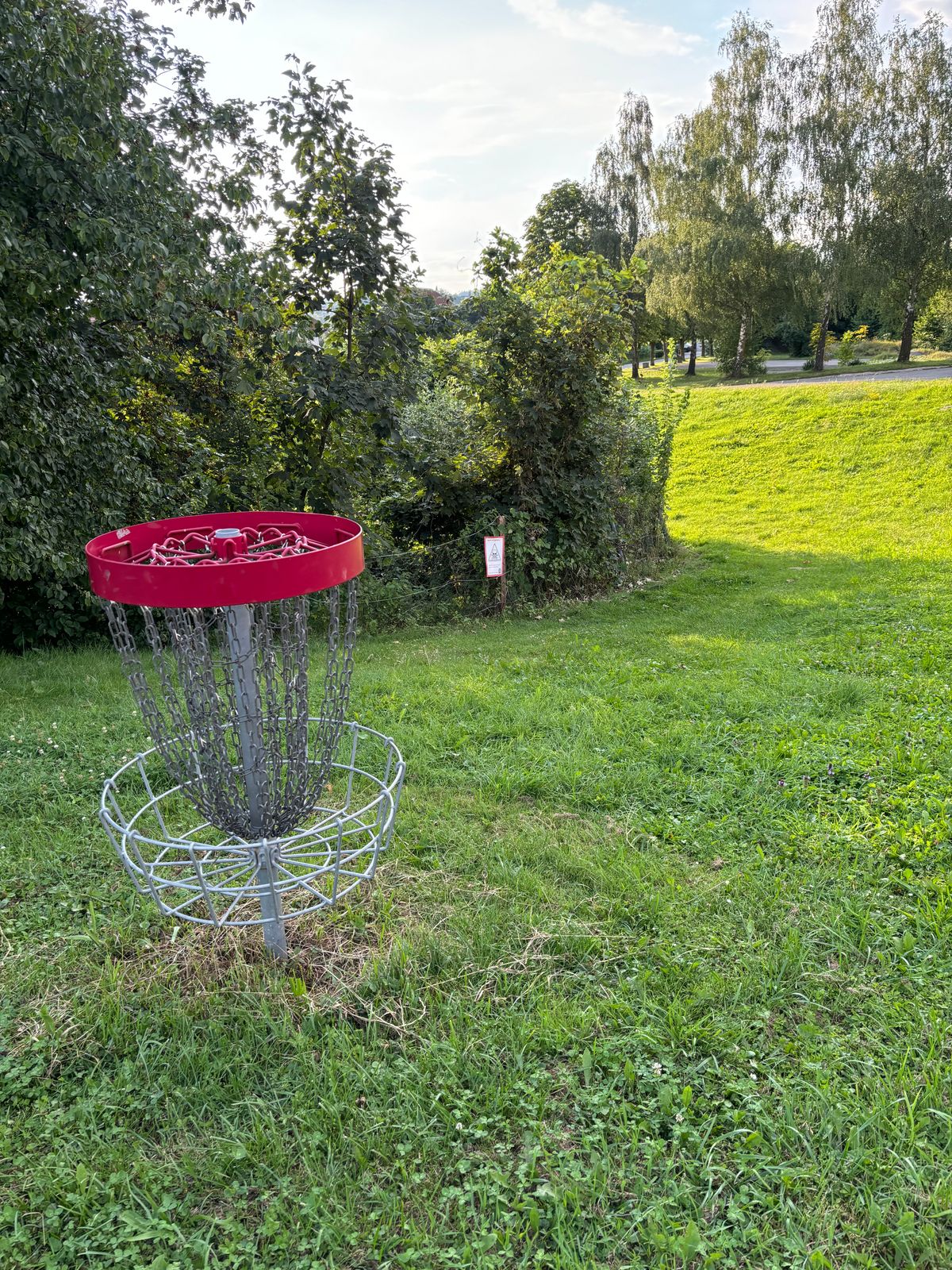 Basket 17