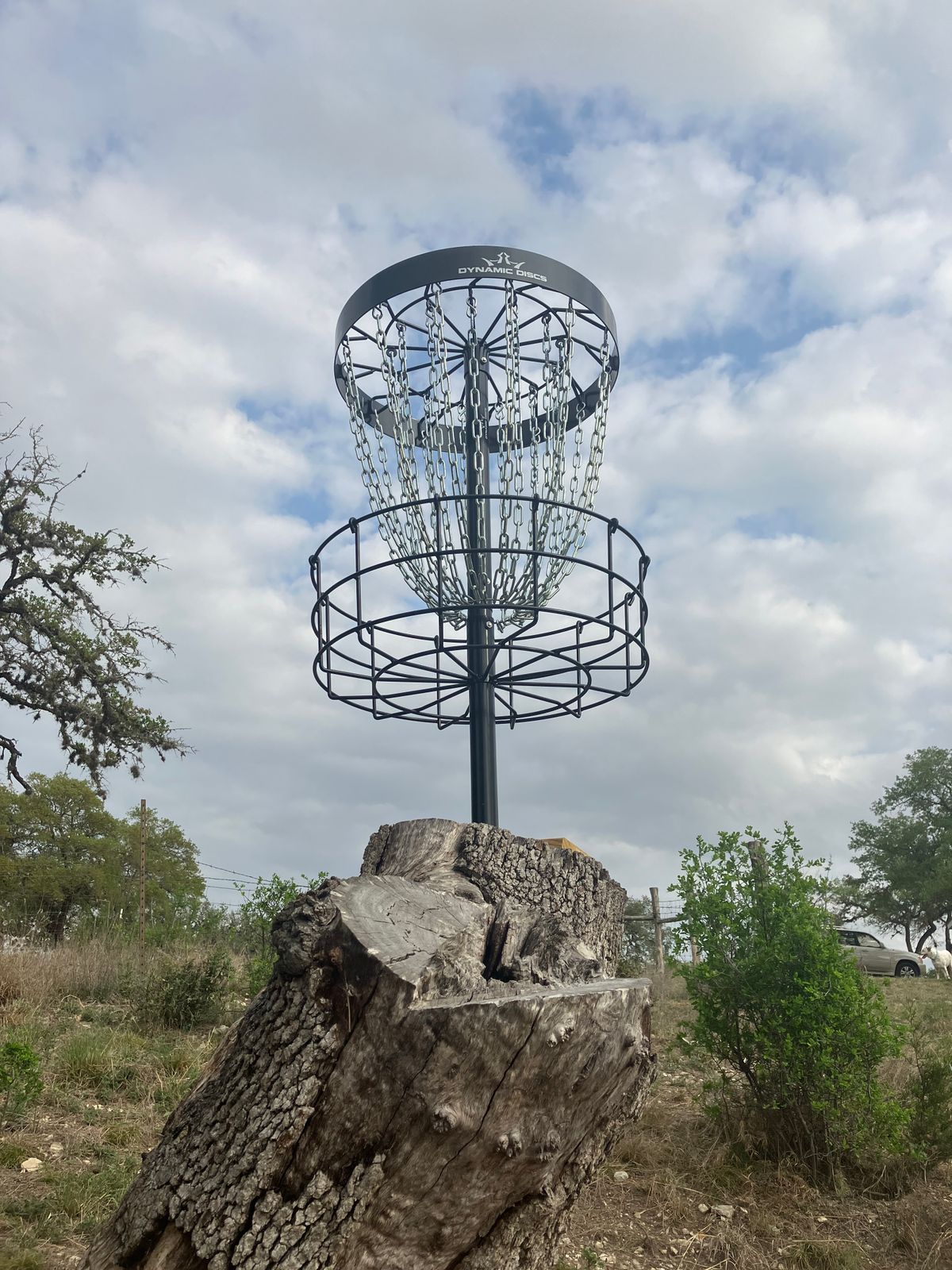 Stump top basket, from the “level elevated” tee pad.