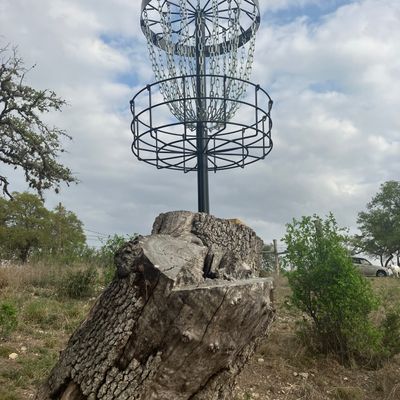 Stump top basket, from the “level elevated” tee pad.