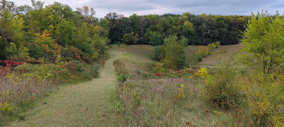 Definitely a fun, somewhat technical course with  an excellent mix of woods, hills & wide open land baskets. Definitely will play again!