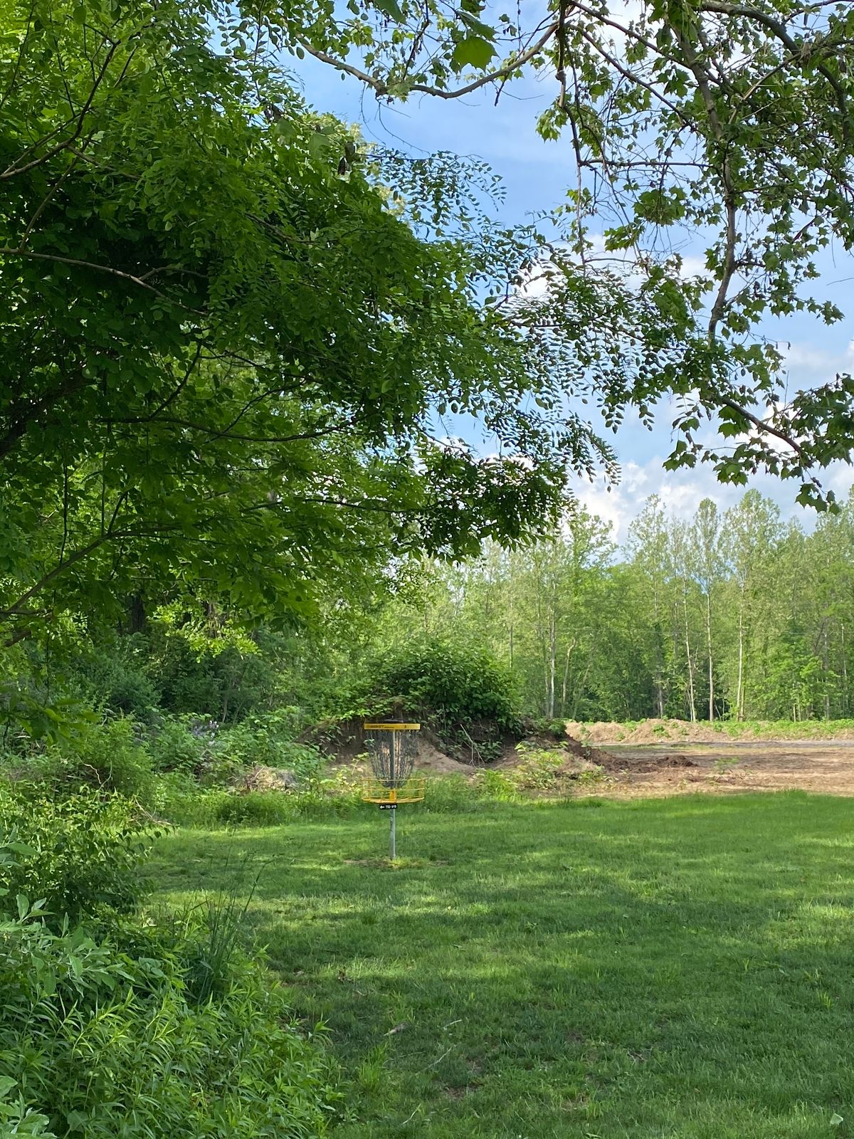 Hole 8 basket