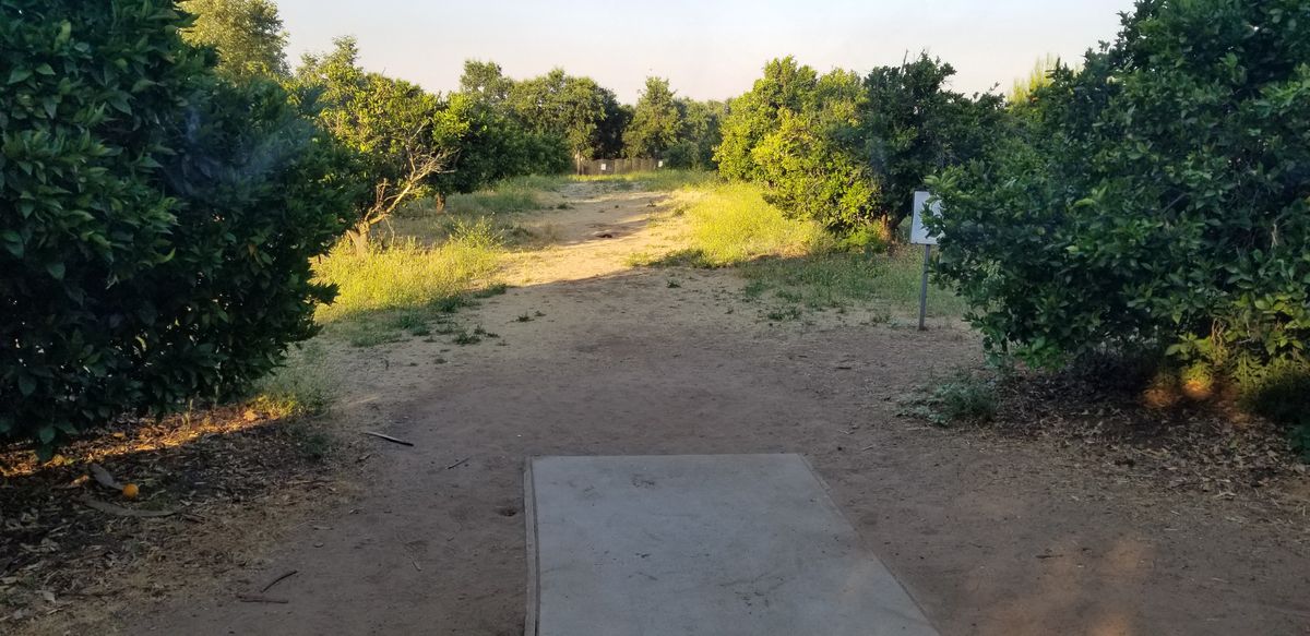 16 tee pad