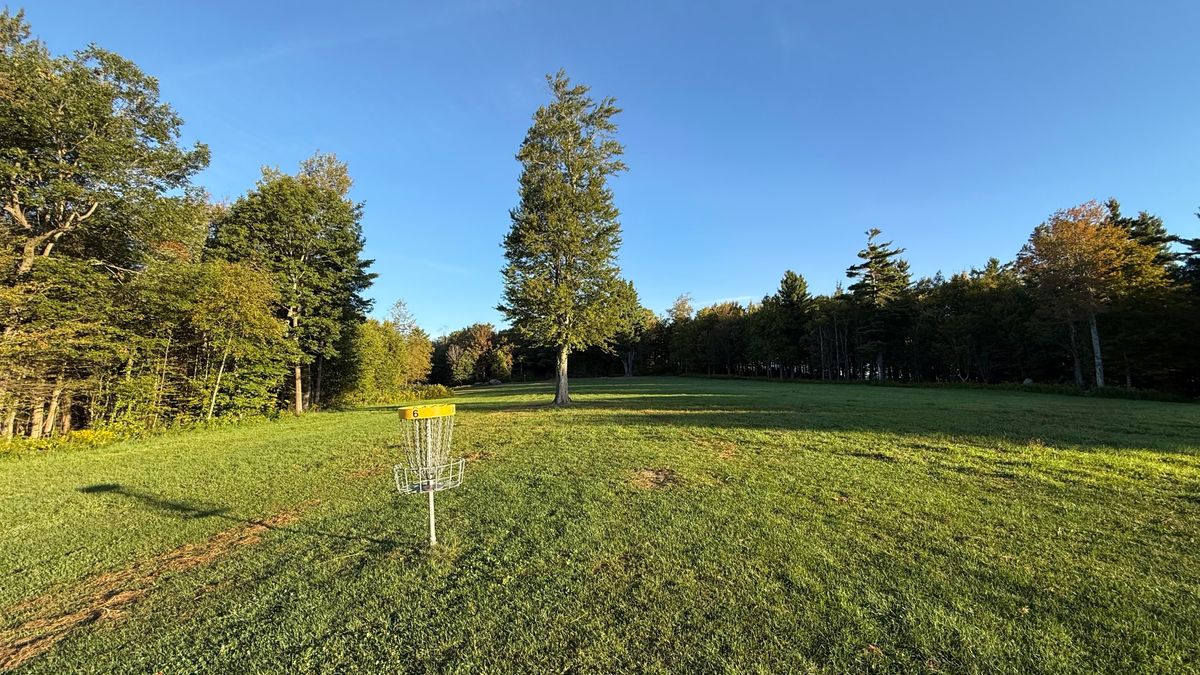 Green of 6