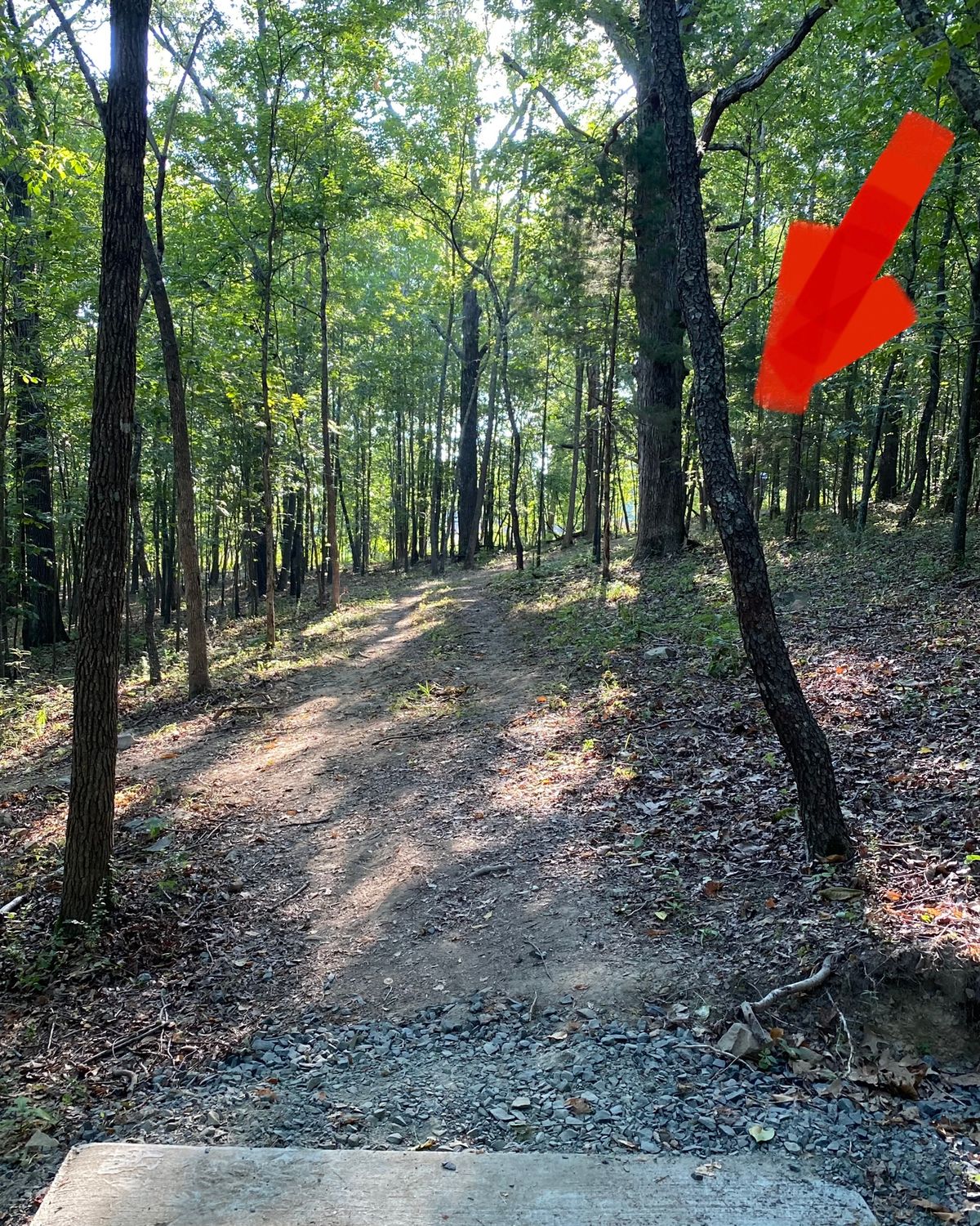 Hole 16 short dogleg right uphill. Fun short and very birdable.