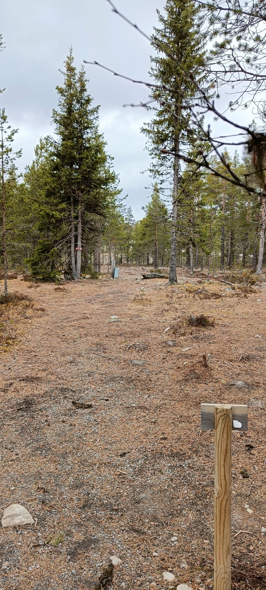 Hole 2