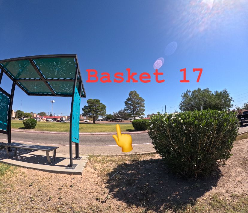 Basket 17
