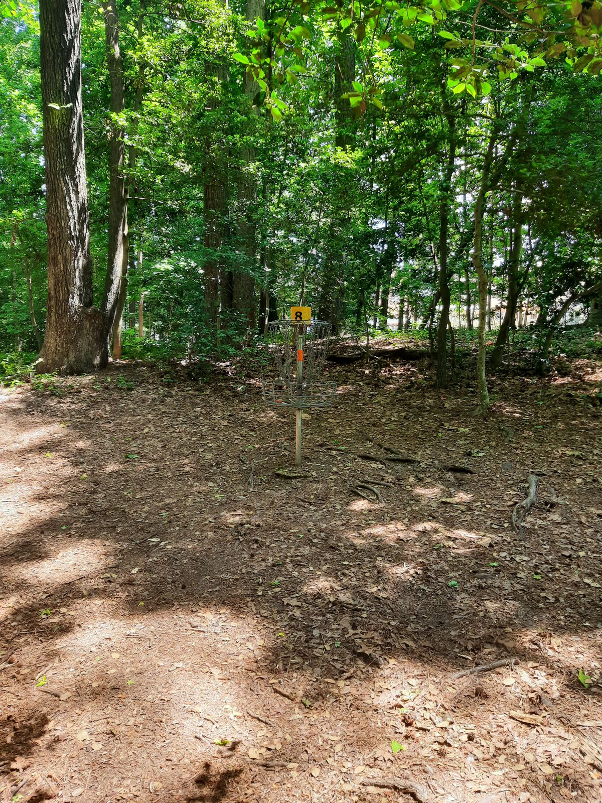 Hole 8 Basket