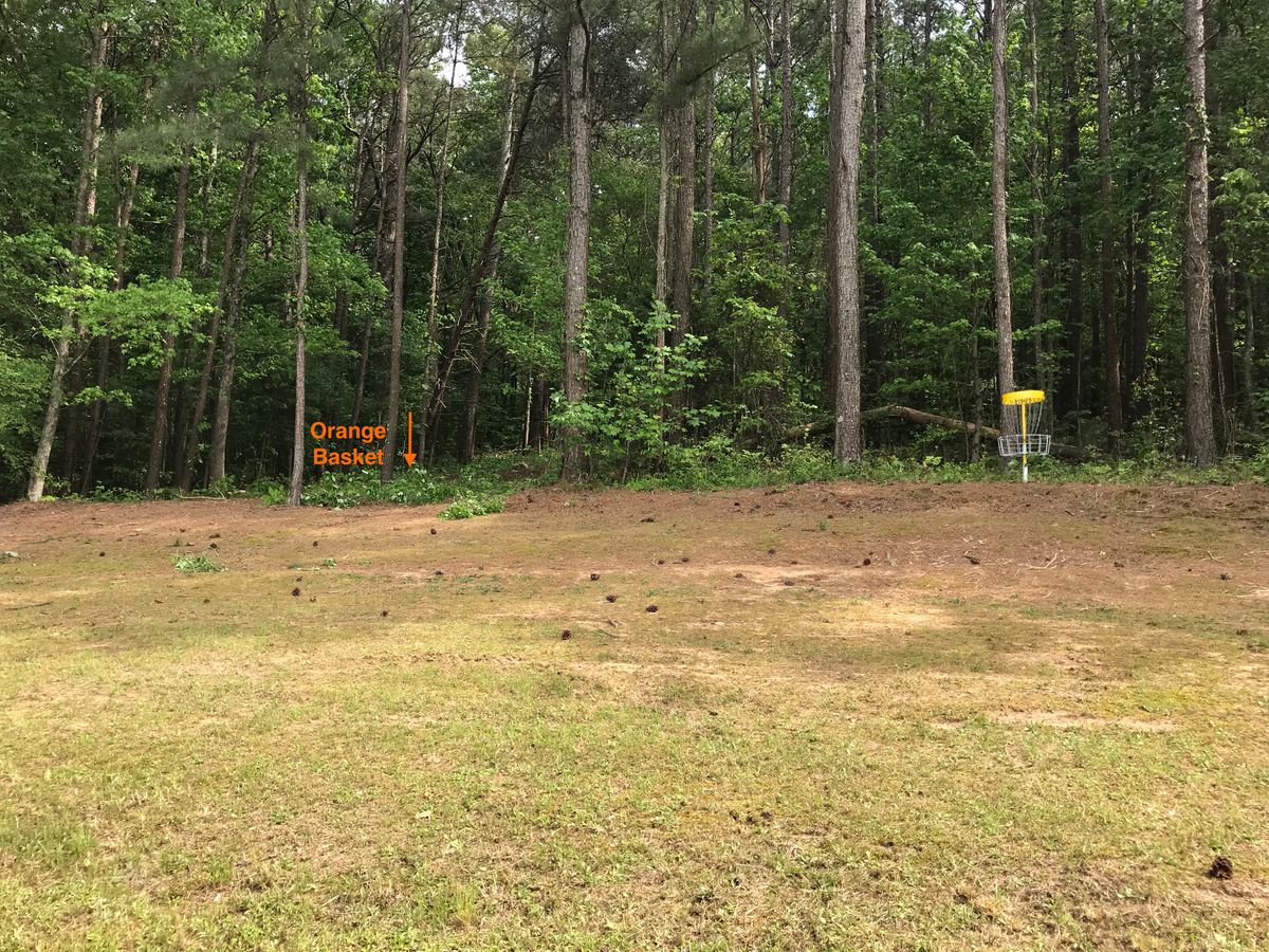 Hole 9 greens