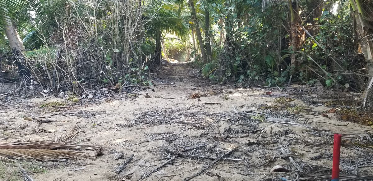 Hole 6