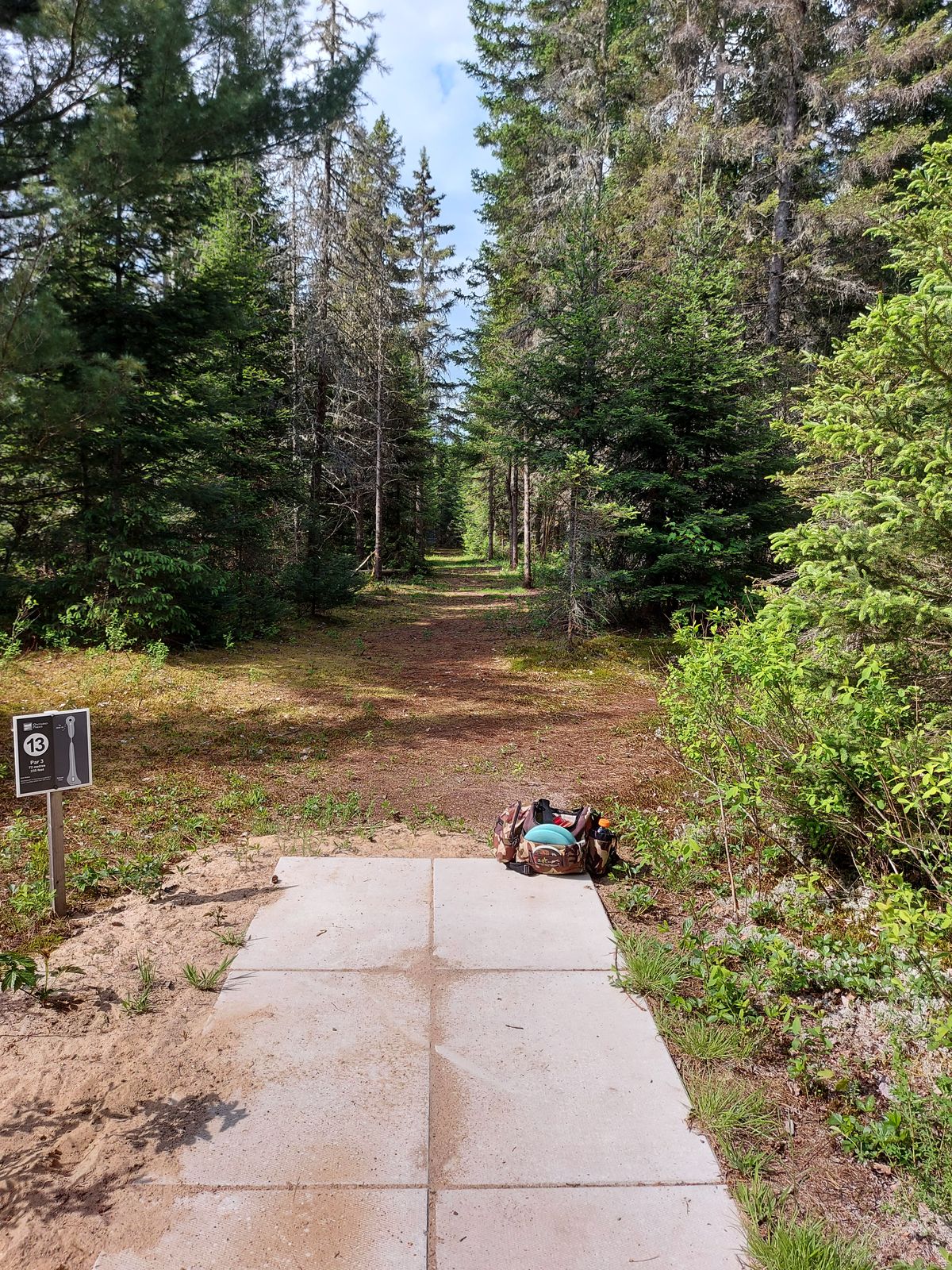 Tee pad 13. 🍁🌲🌲🍁🌲