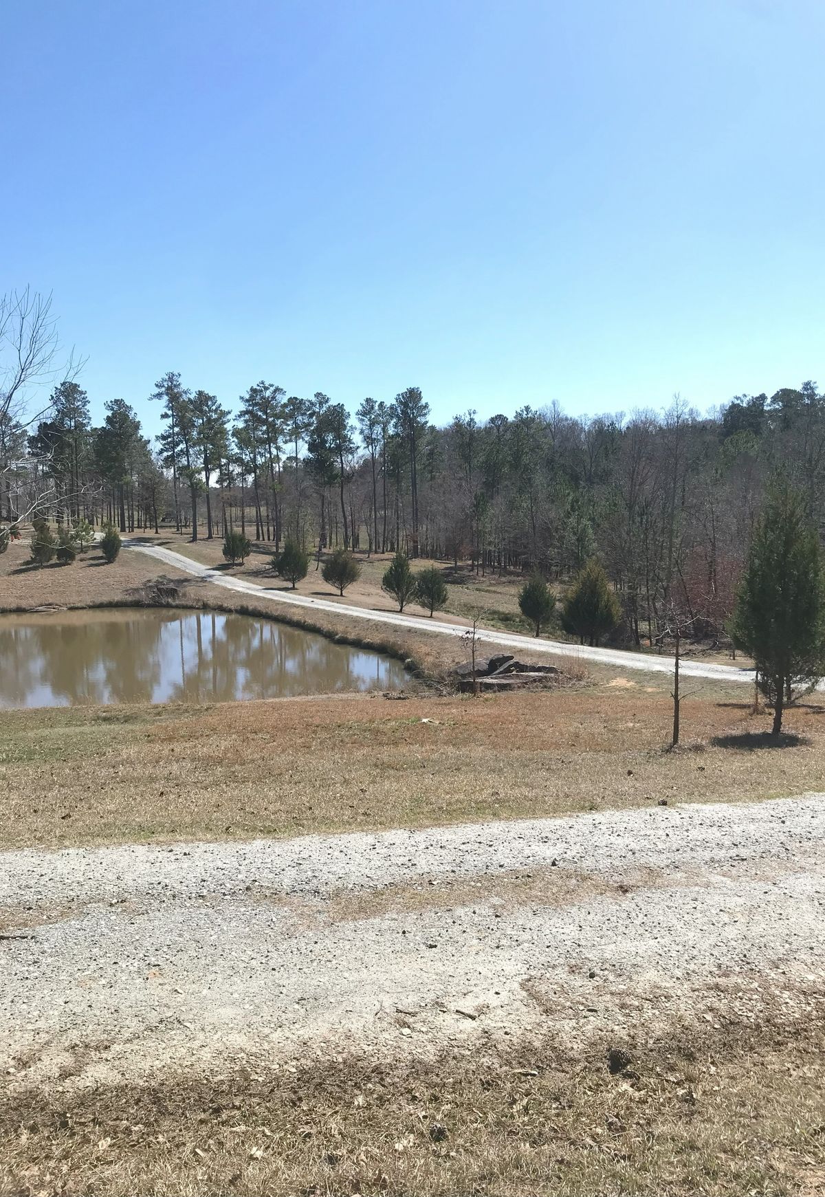 Hole 8 - tee to basket