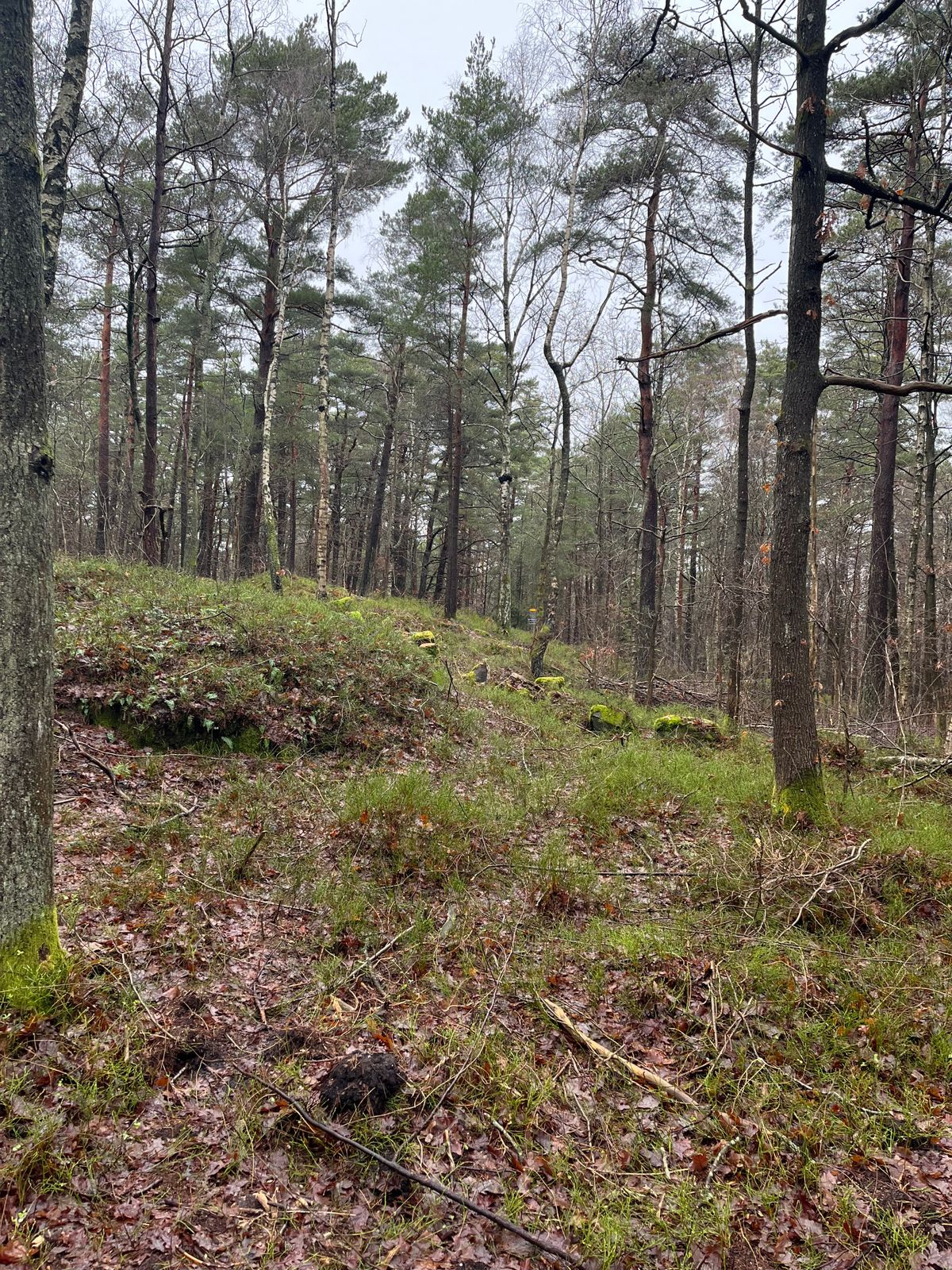 Hål 3