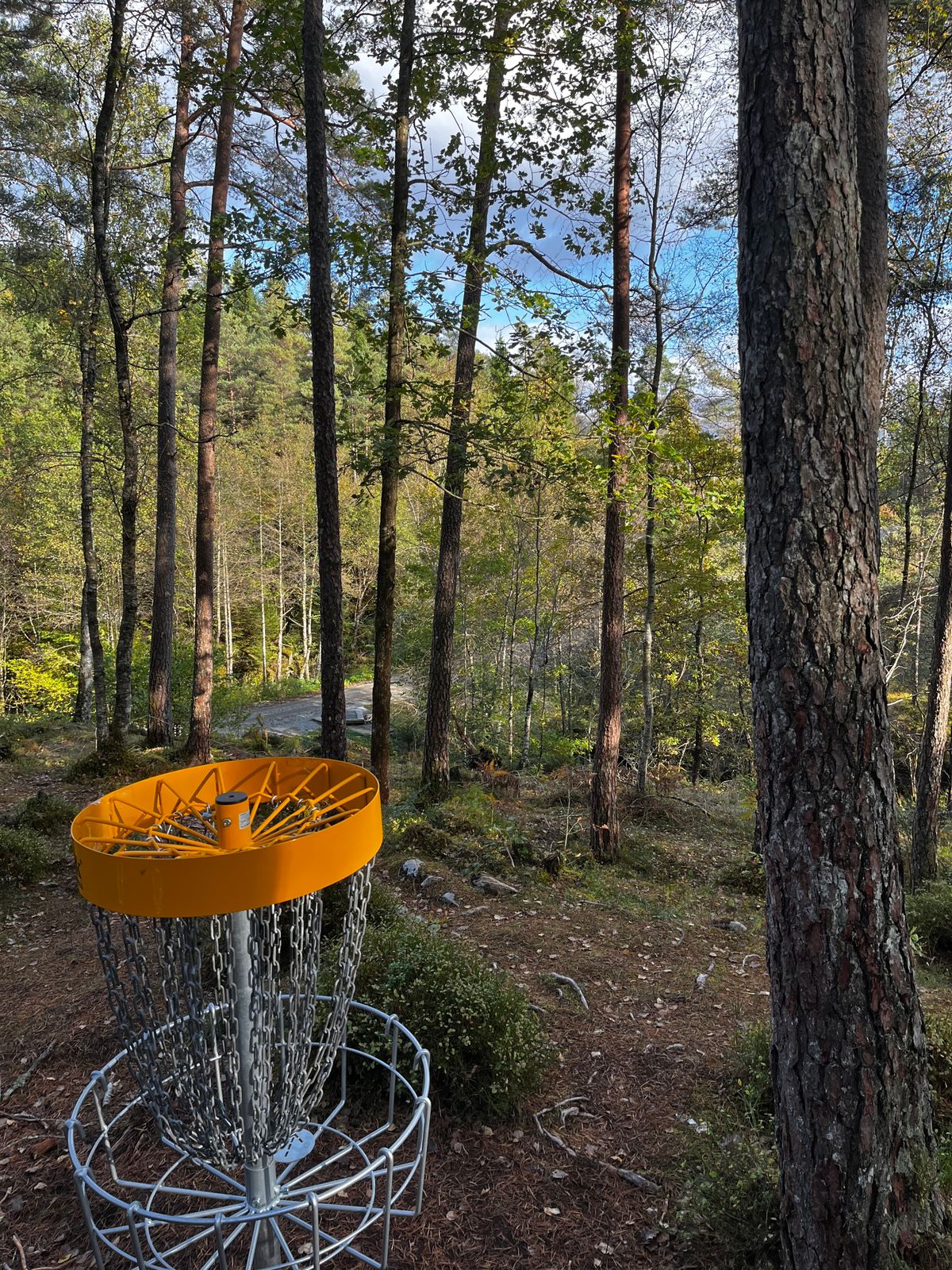 Kjekkt med fin natur