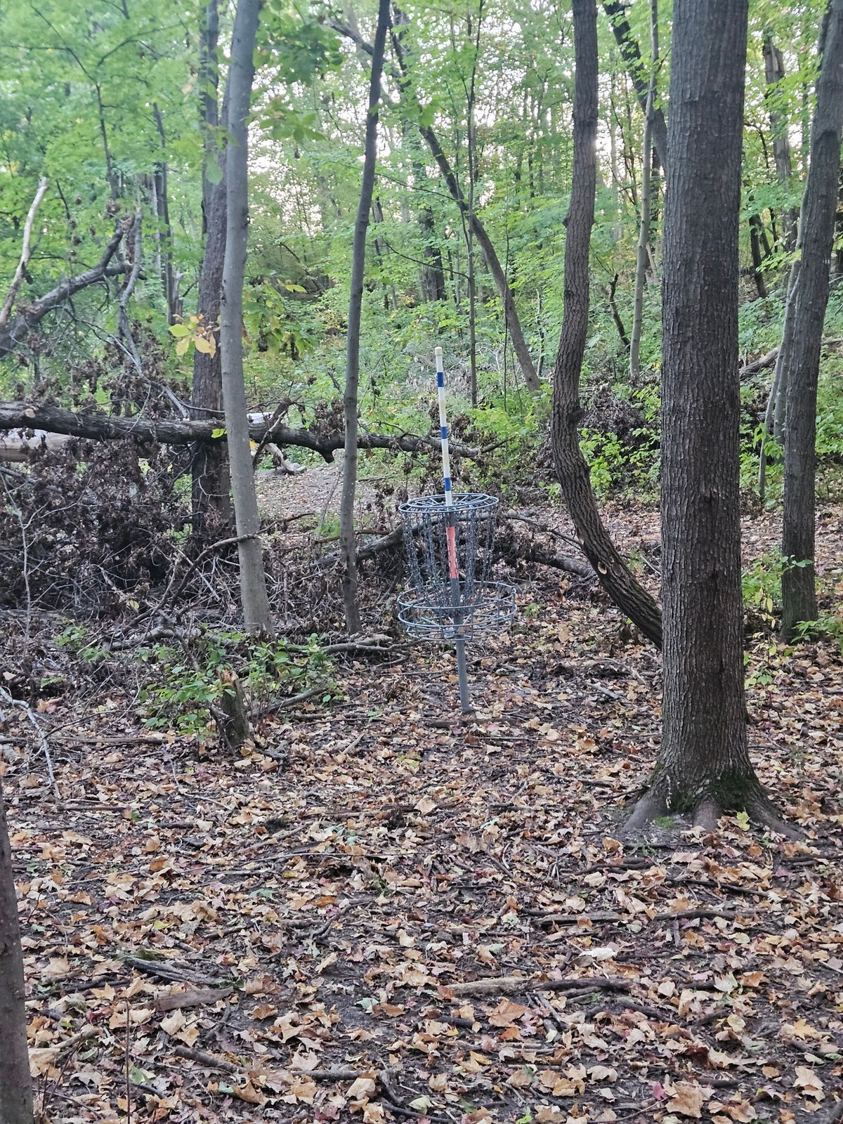 Hole 11 basket