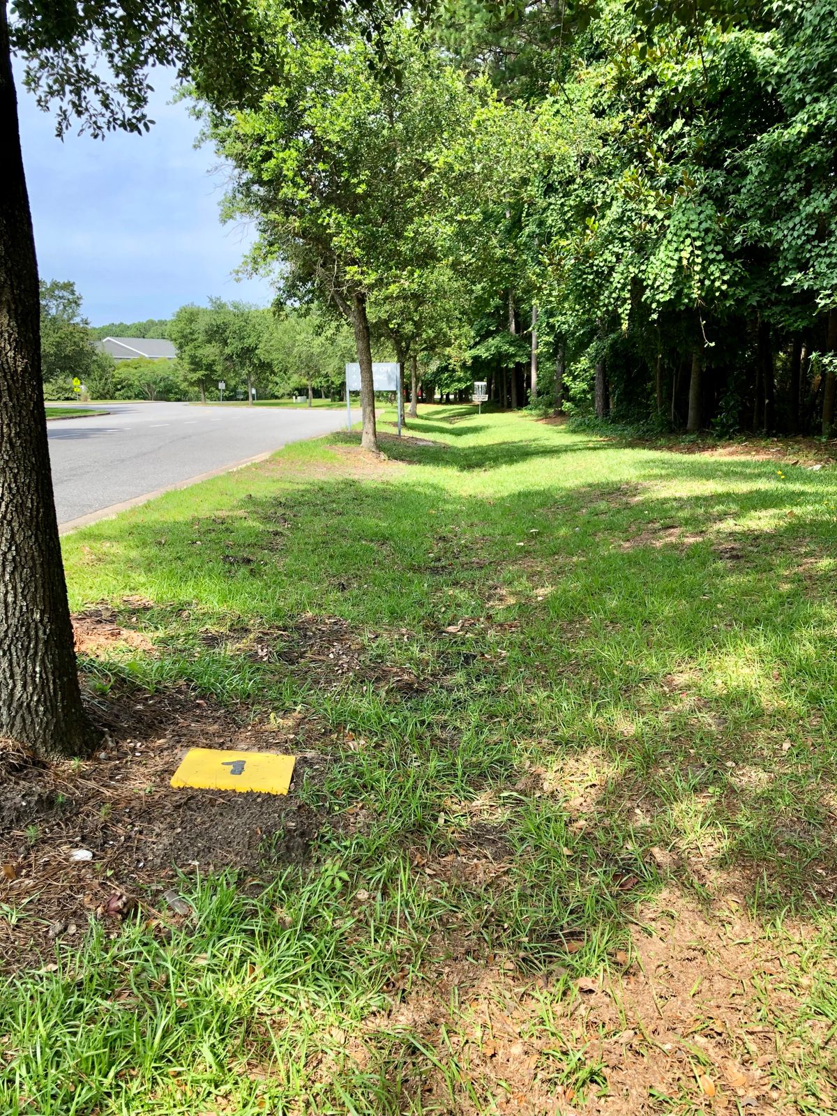 Hole 1 tee