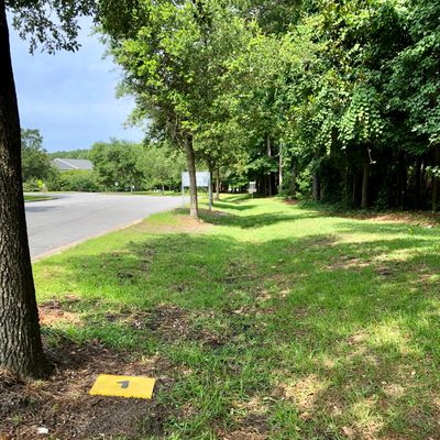Hole 1 tee