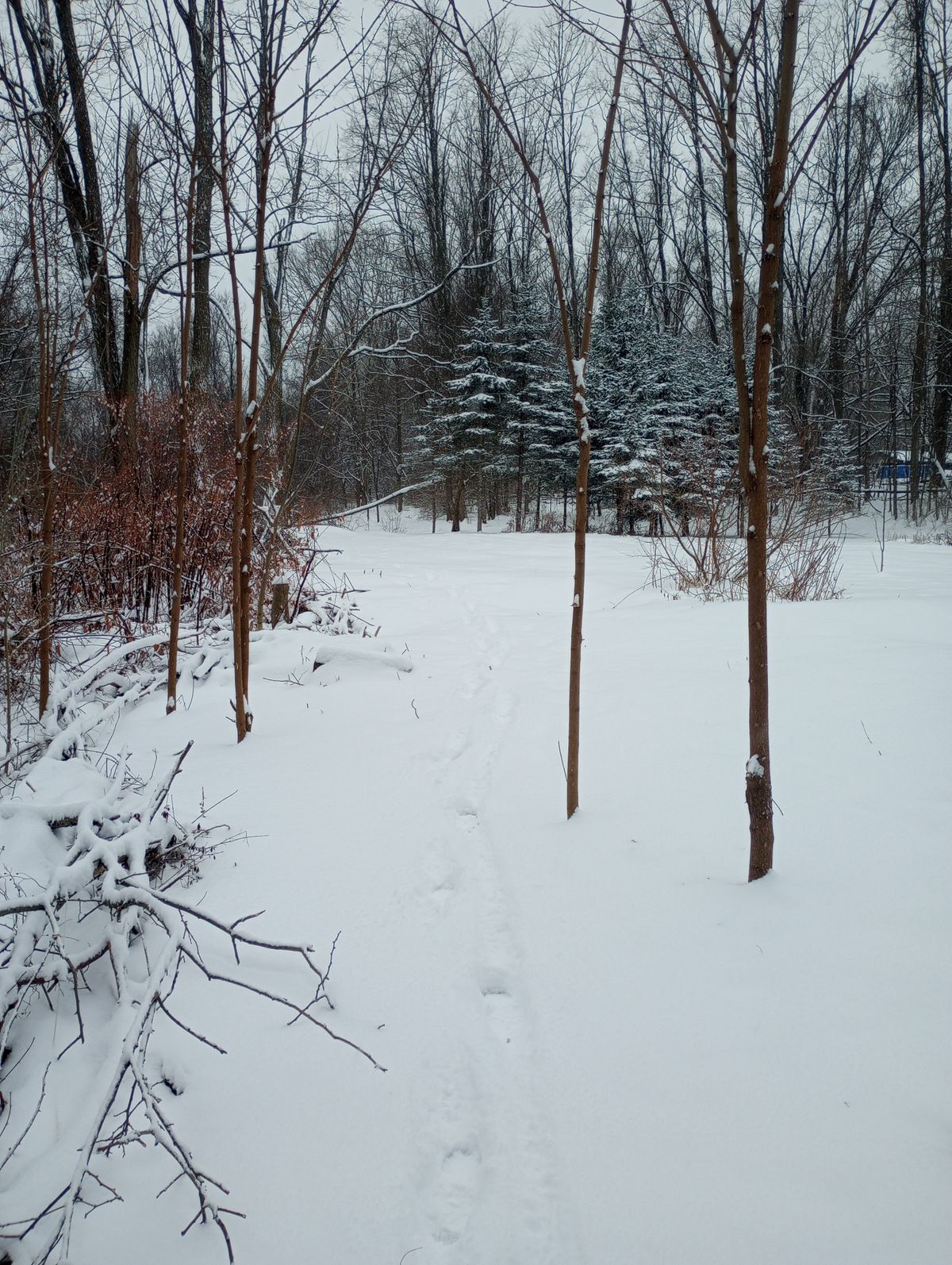 Tee Winter