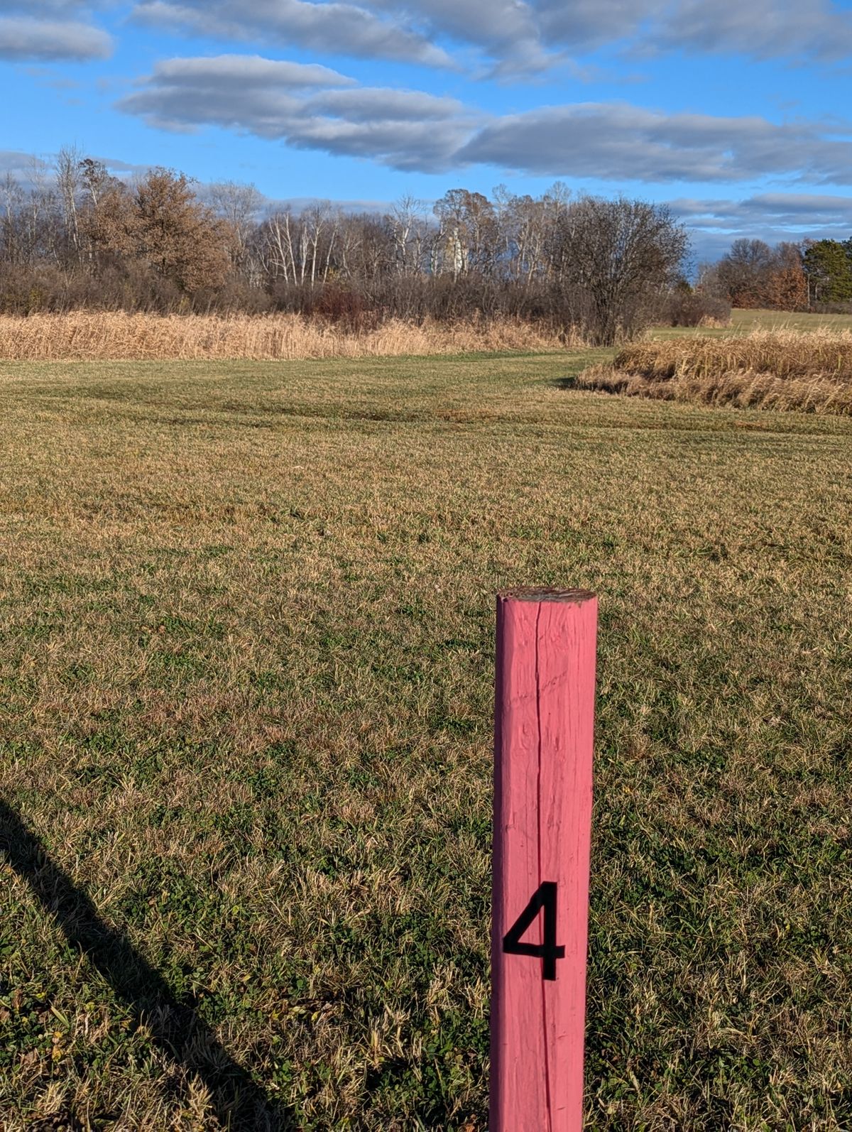 Hole 4 tee box facing basket 4. It's straight behind the brush and trees