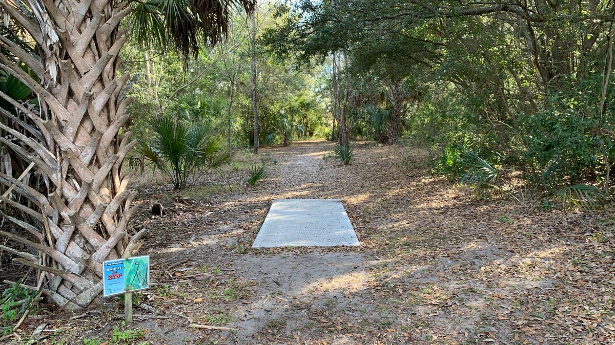 Hole 11