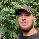 User avatar image