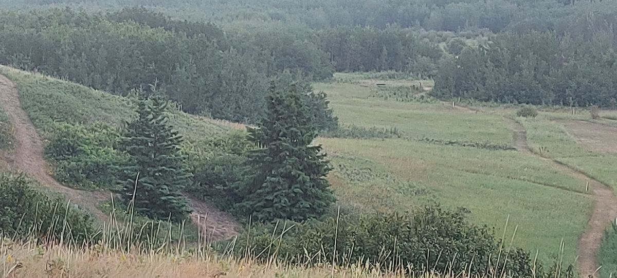 Fairway looking down towards basket 8 🌲🍀🌲🍀