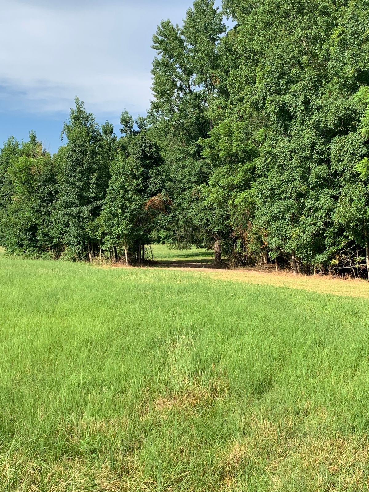 Hole 7 Approach. 