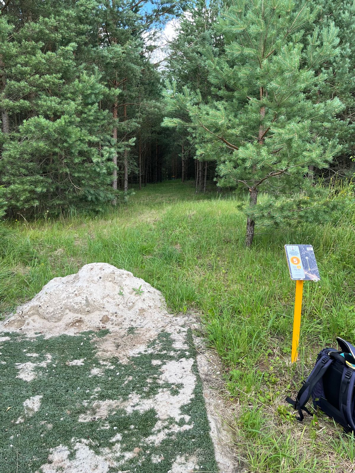 Hole 5. Nice straight tunnel.